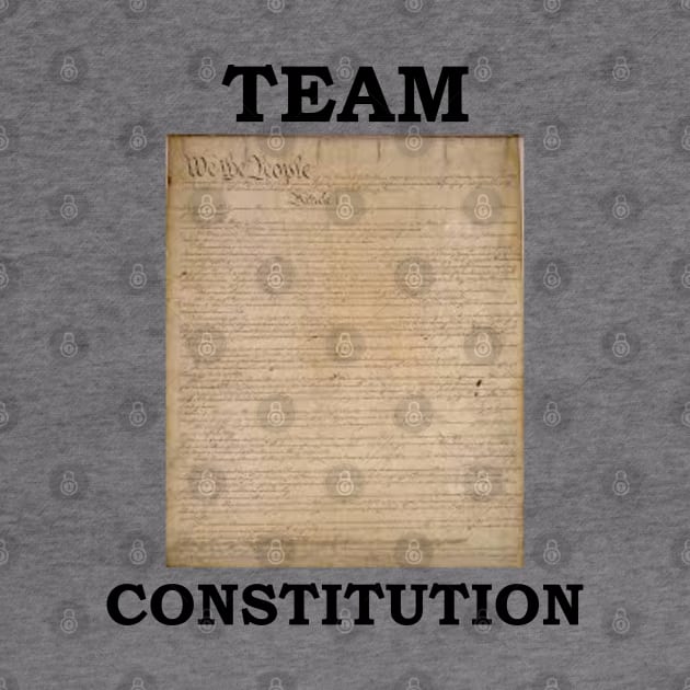 Team Constitution by Cavalrysword